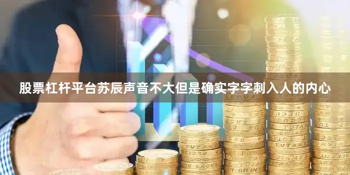 股票杠杆平台苏辰声音不大但是确实字字刺入人的内心